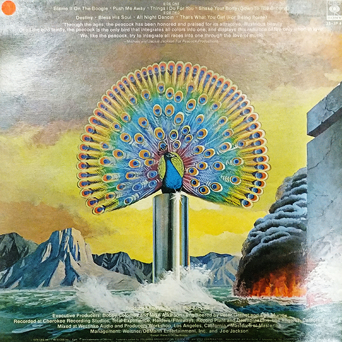 JACKSON DESTINY - VINTAGE CLASSIC R&B DISCO MUSIC - BACK COVER