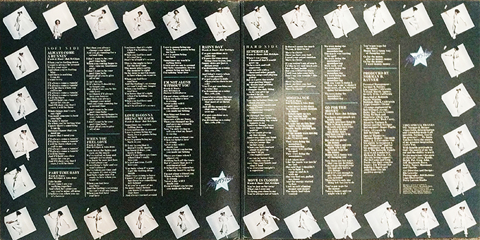 SYOKSYOKSONGSONG, BOB McGILPIN, SUPERSTAR, BUTTERFLY RECORDS, 1978, VINTAGE CLASSIC POP MUSIC, CENTER COVER RECORD